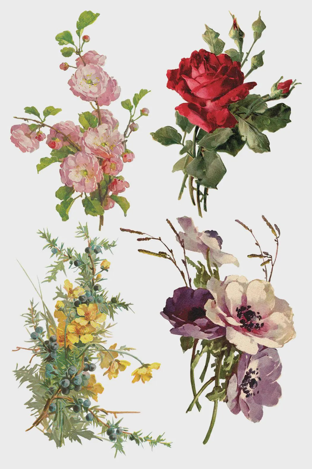 Catharina IOD Transfer 8x12 Pad by Iron Orchid Designs