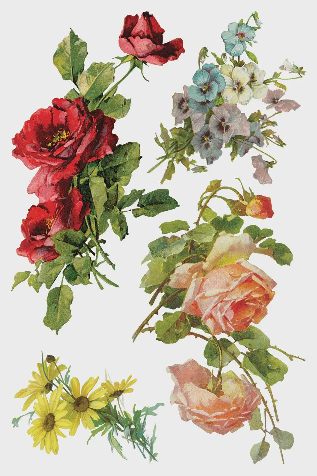 Catharina IOD Transfer 8x12 Pad by Iron Orchid Designs