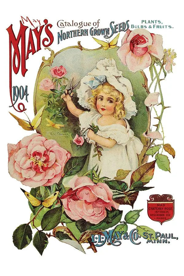 Ephemeral Melange IOD Transfer 8x12 Pad by Iron Orchid Designs