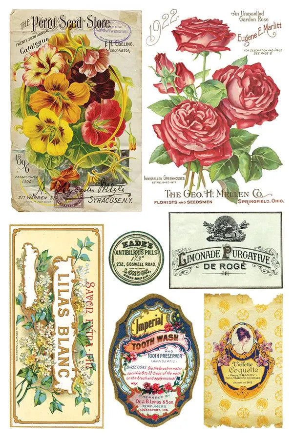 Ephemeral Melange IOD Transfer 8x12 Pad by Iron Orchid Designs