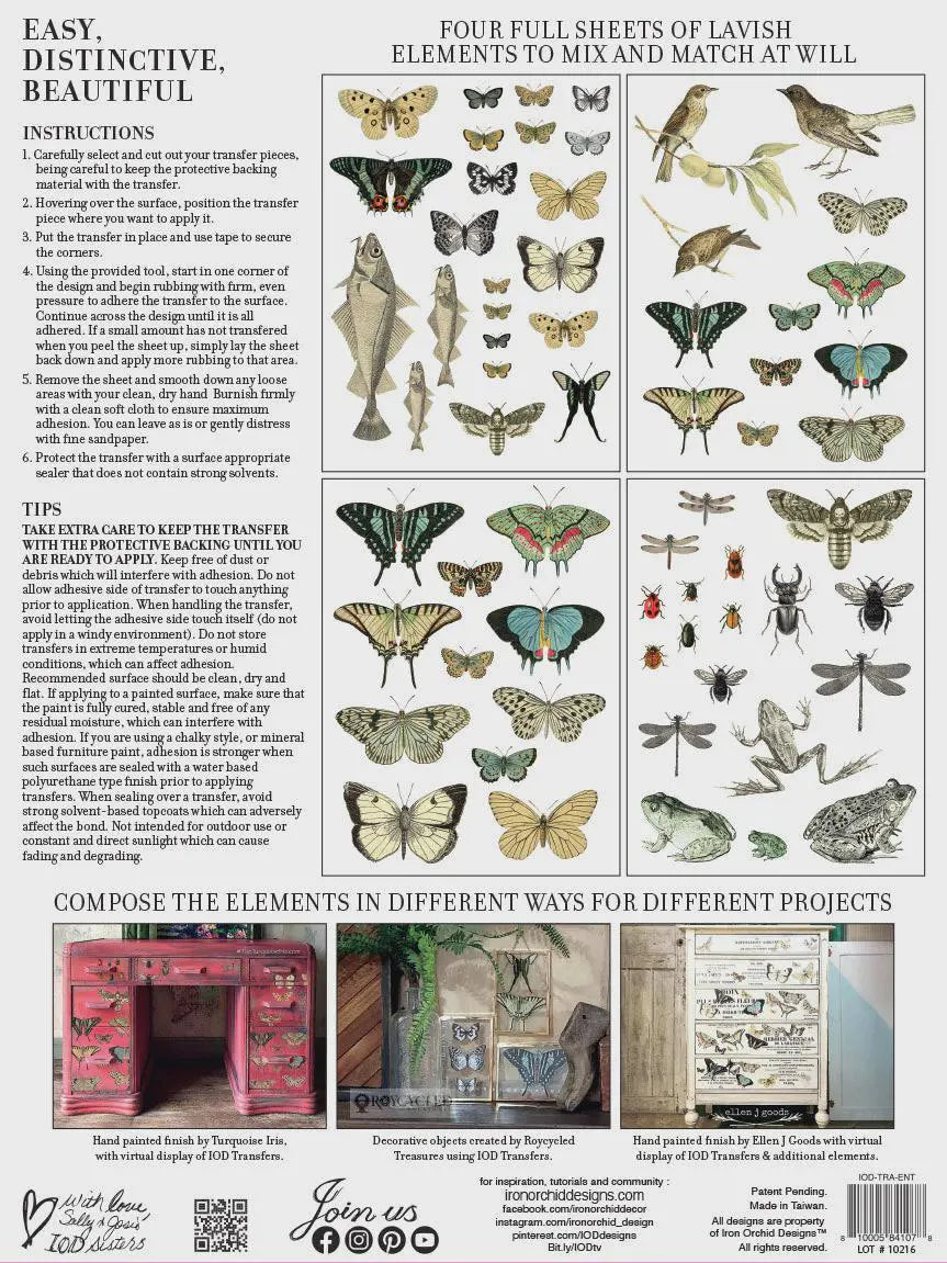 Entomology Etcetera IOD Transfer 12x16 Pad by Iron Orchid Designs