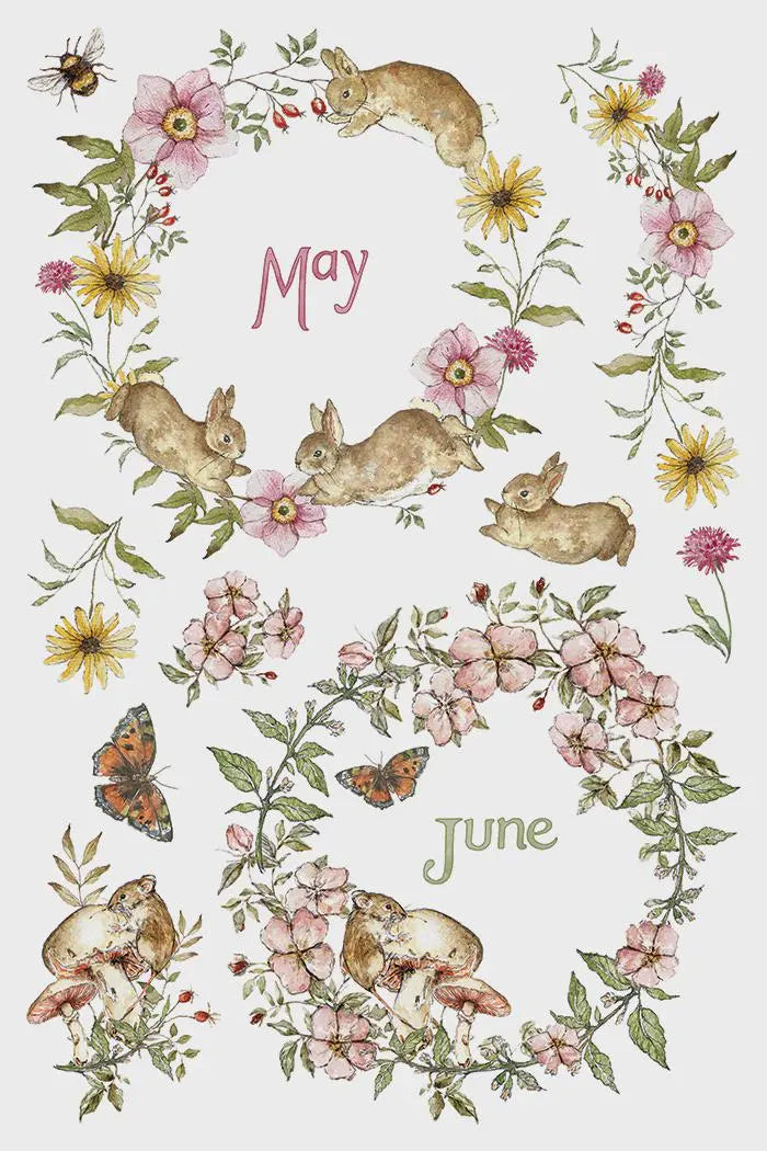 The Bramblewood Diaries IOD Transfer 8x12 Pad by Iron Orchid Designs (NEW!)