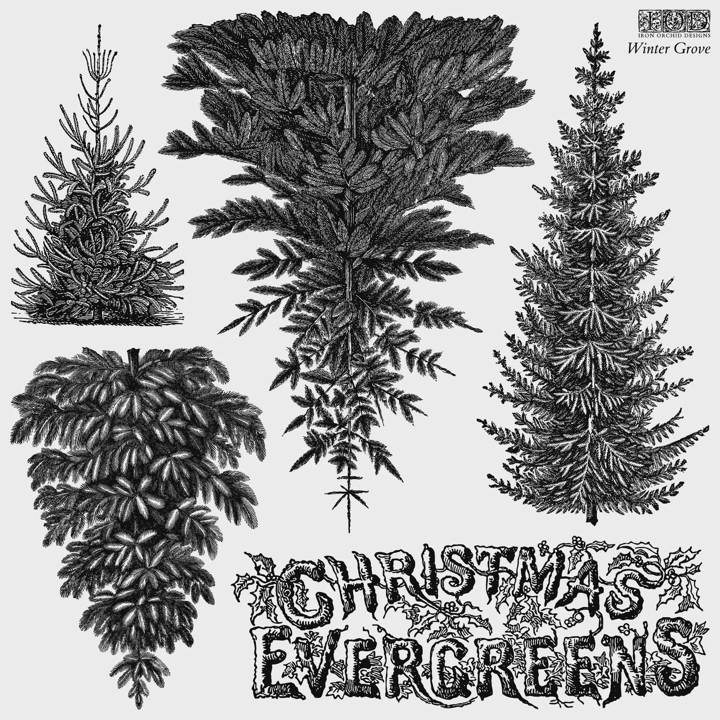 Winter Grove 12x12 IOD Decor Stamp by Iron Orchid Designs (NEW!)