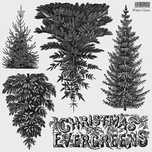 Winter Grove 12x12 IOD Decor Stamp by Iron Orchid Designs (NEW!)