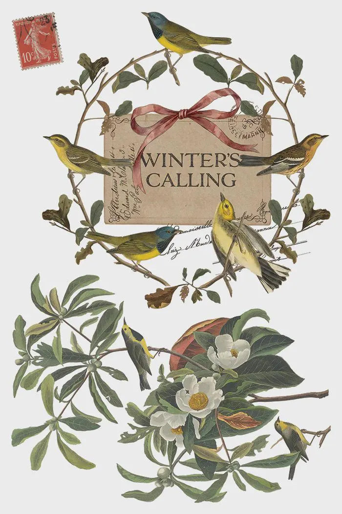 Winter's Calling IOD Transfer 8x12 Pad by Iron Orchid Designs (NEW!)