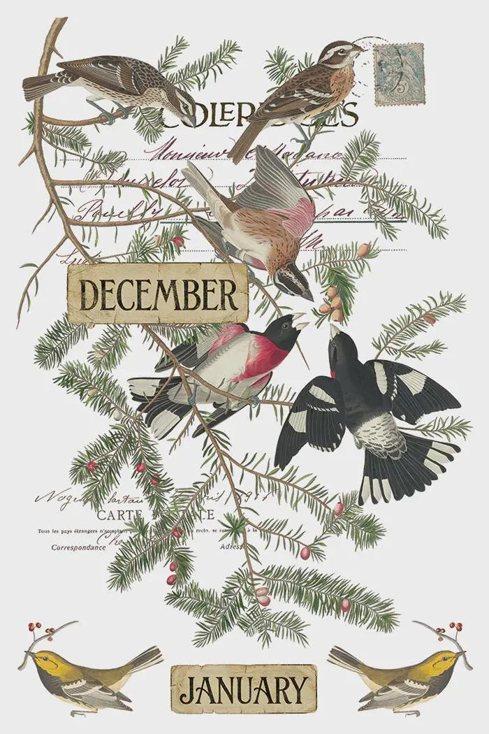 Winter's Calling IOD Transfer 8x12 Pad by Iron Orchid Designs (NEW!)