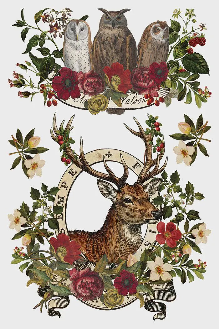 Stag Tavern IOD Transfer 8x12 Pad by Iron Orchid Designs (NEW!)