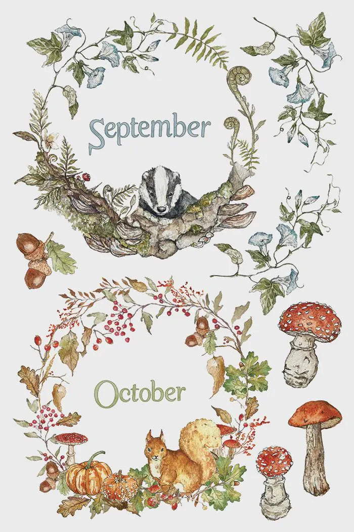 The Bramblewood Diaries IOD Transfer 8x12 Pad by Iron Orchid Designs (NEW!)