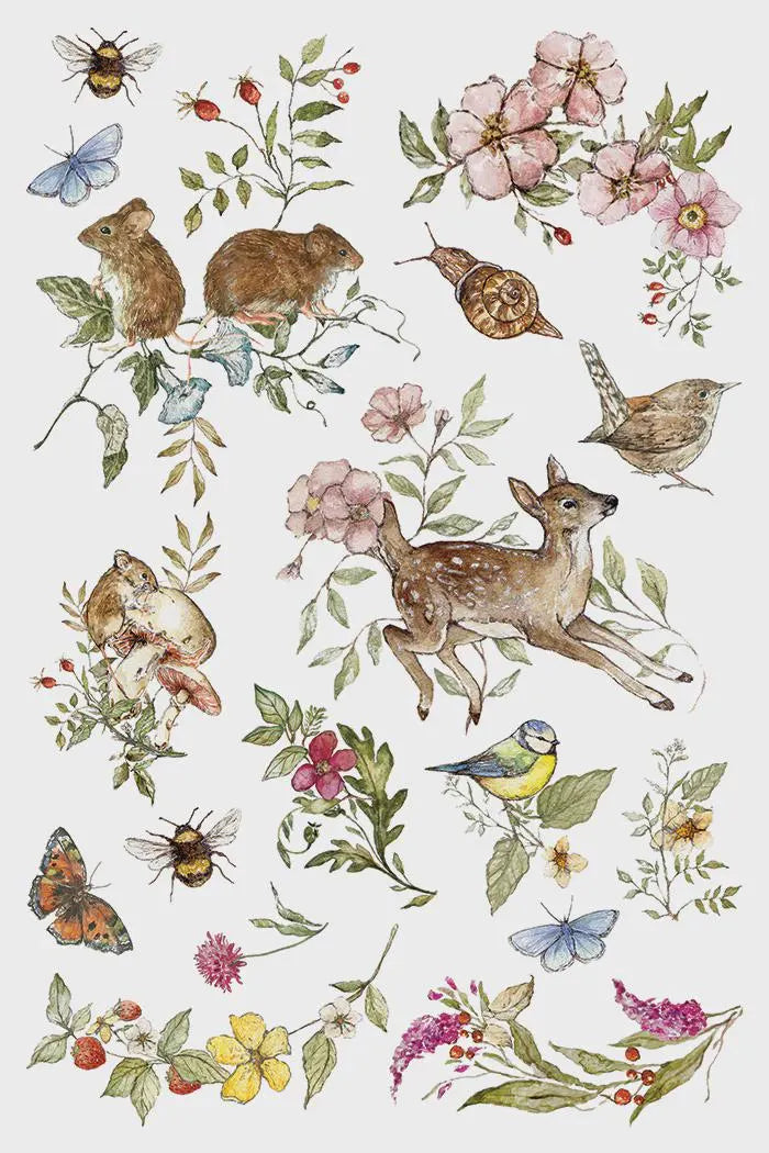 The Bramblewood Diaries IOD Transfer 8x12 Pad by Iron Orchid Designs (NEW!)