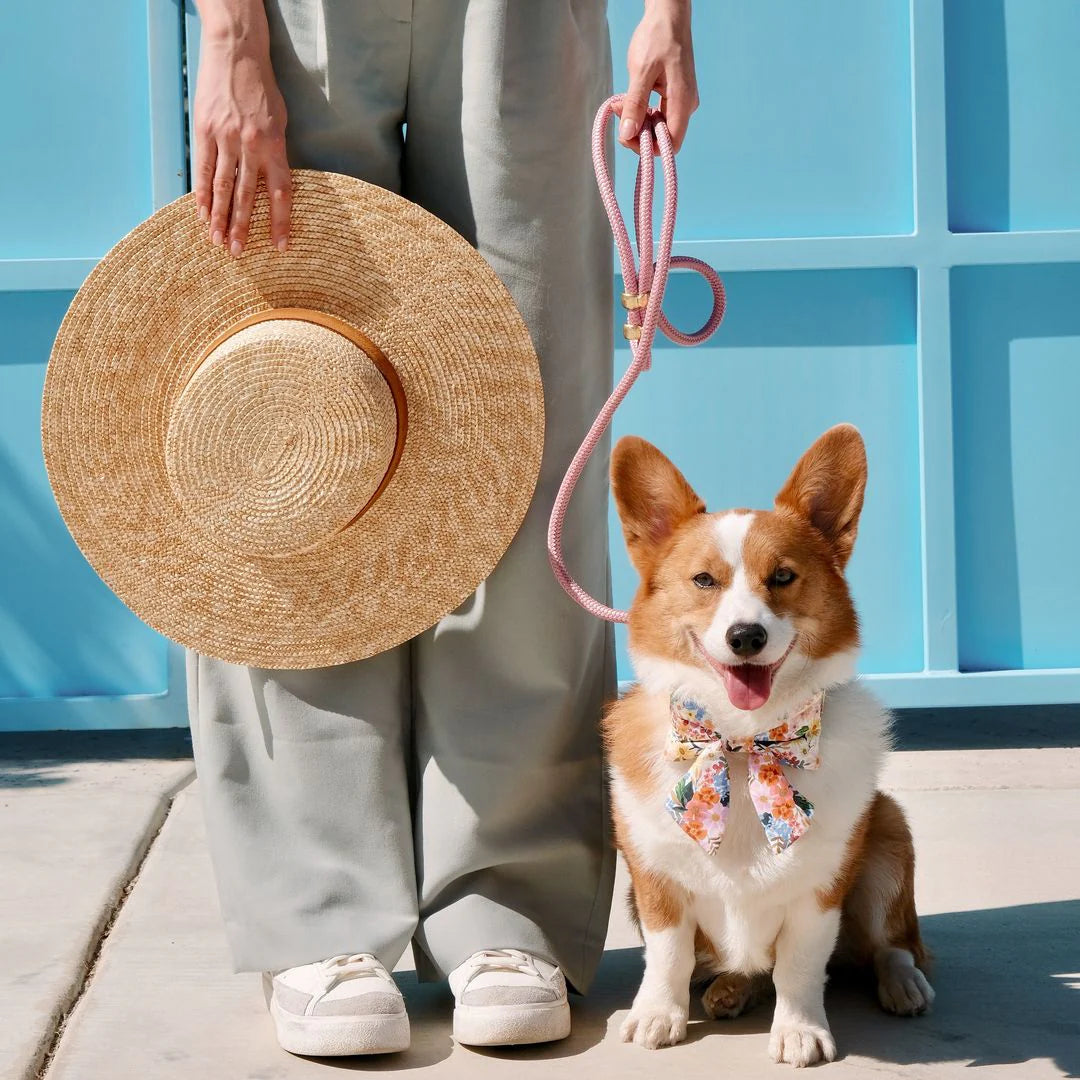 Orchid Marine Rope Dog Leash by The Foggy Dog
