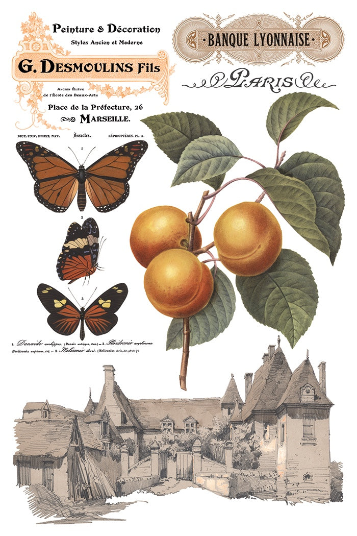 Saint Ouen IOD Transfer 8x12 Pad by Iron Orchid Designs