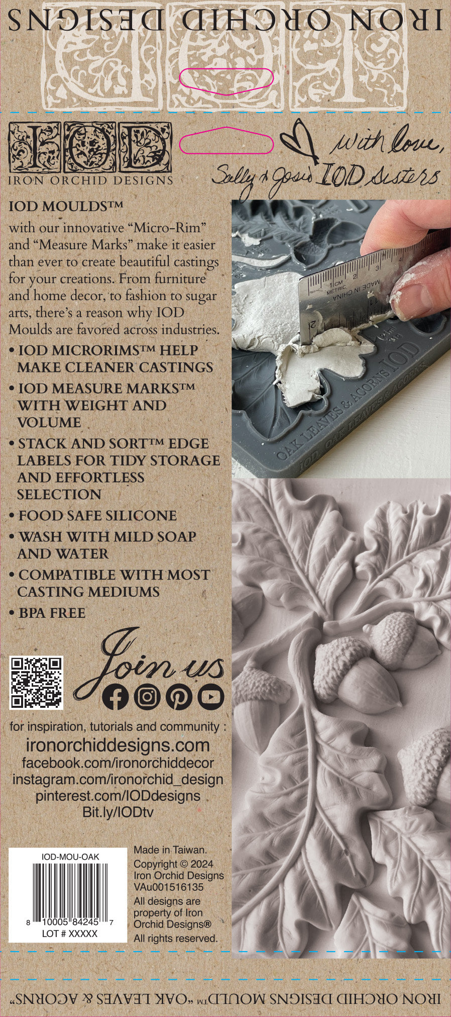 Oak Leaves & Acorns 6x10 IOD Mould by Iron Orchid Designs