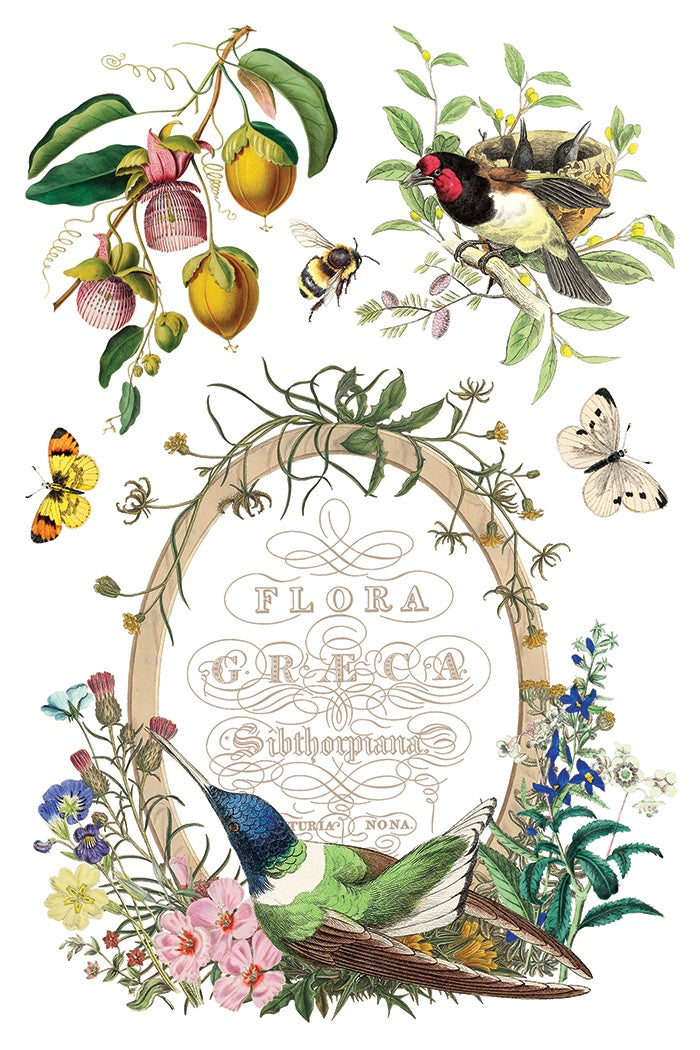 Flora Greca IOD Transfer 8x12 Pad by Iron Orchid Designs