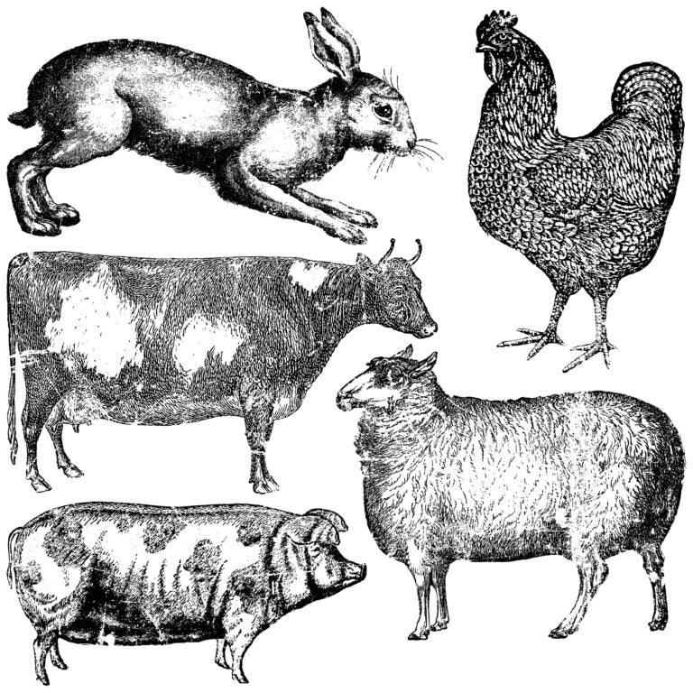 Farm Animals 12x12 IOD Decor Stamp by Iron Orchid Designs