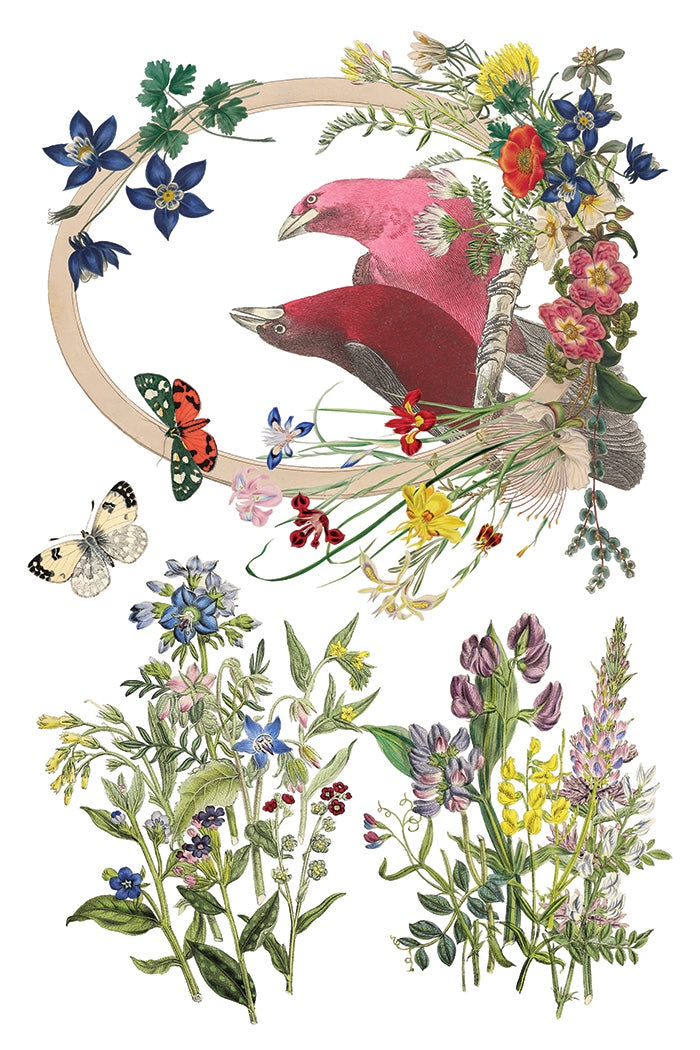 Flora Greca IOD Transfer 8x12 Pad by Iron Orchid Designs