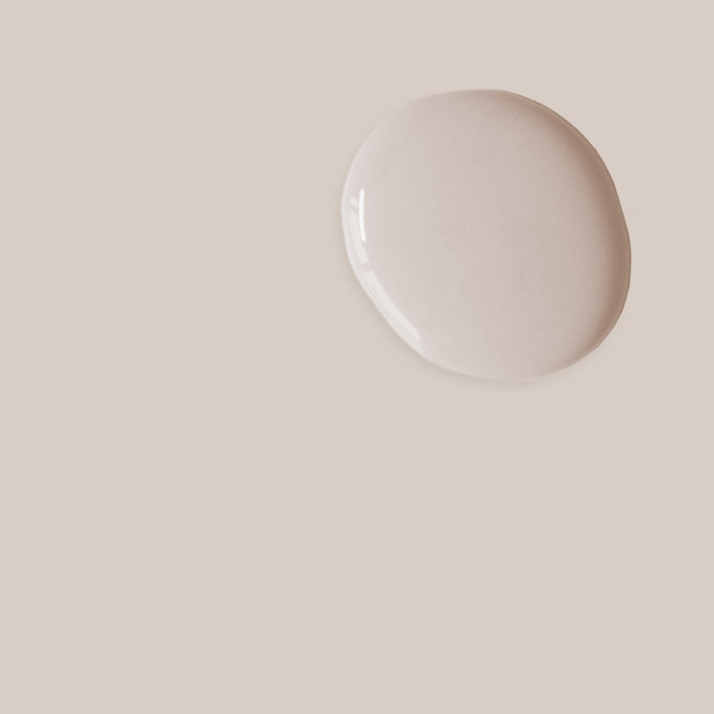Annie Sloan Satin Paint-Pointe Silk