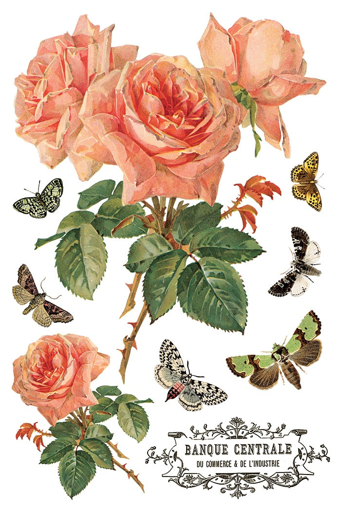 By Any Other Name IOD Transfer 8x12 Pad by Iron Orchid Designs