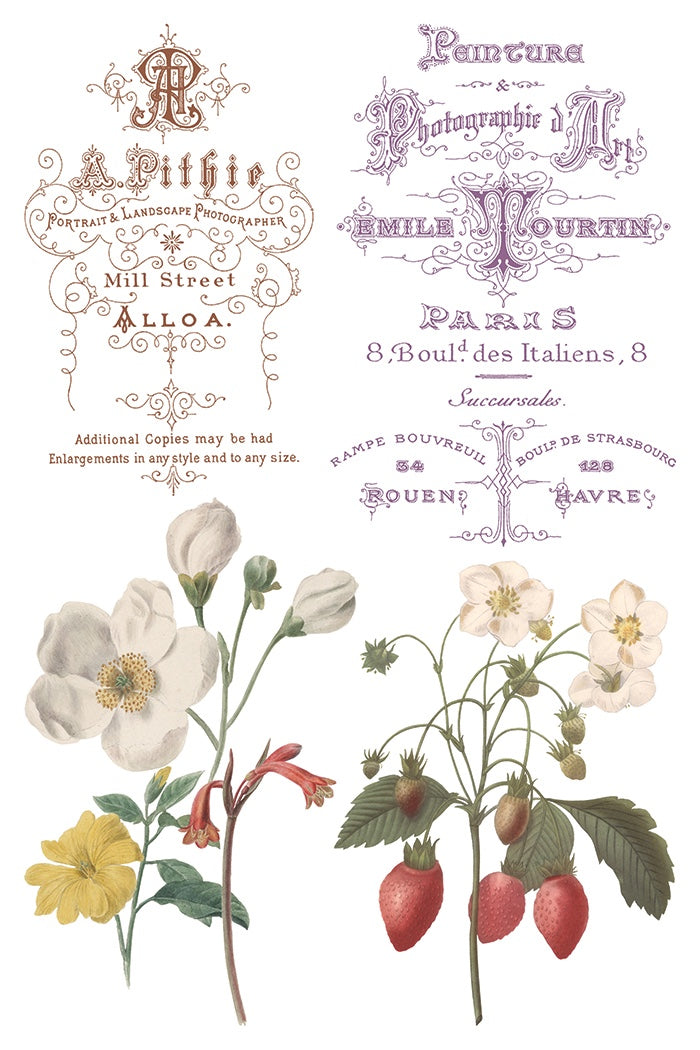 Saint Ouen IOD Transfer 8x12 Pad by Iron Orchid Designs