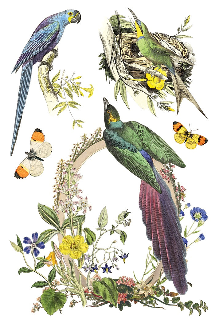 Flora Greca IOD Transfer 8x12 Pad by Iron Orchid Designs