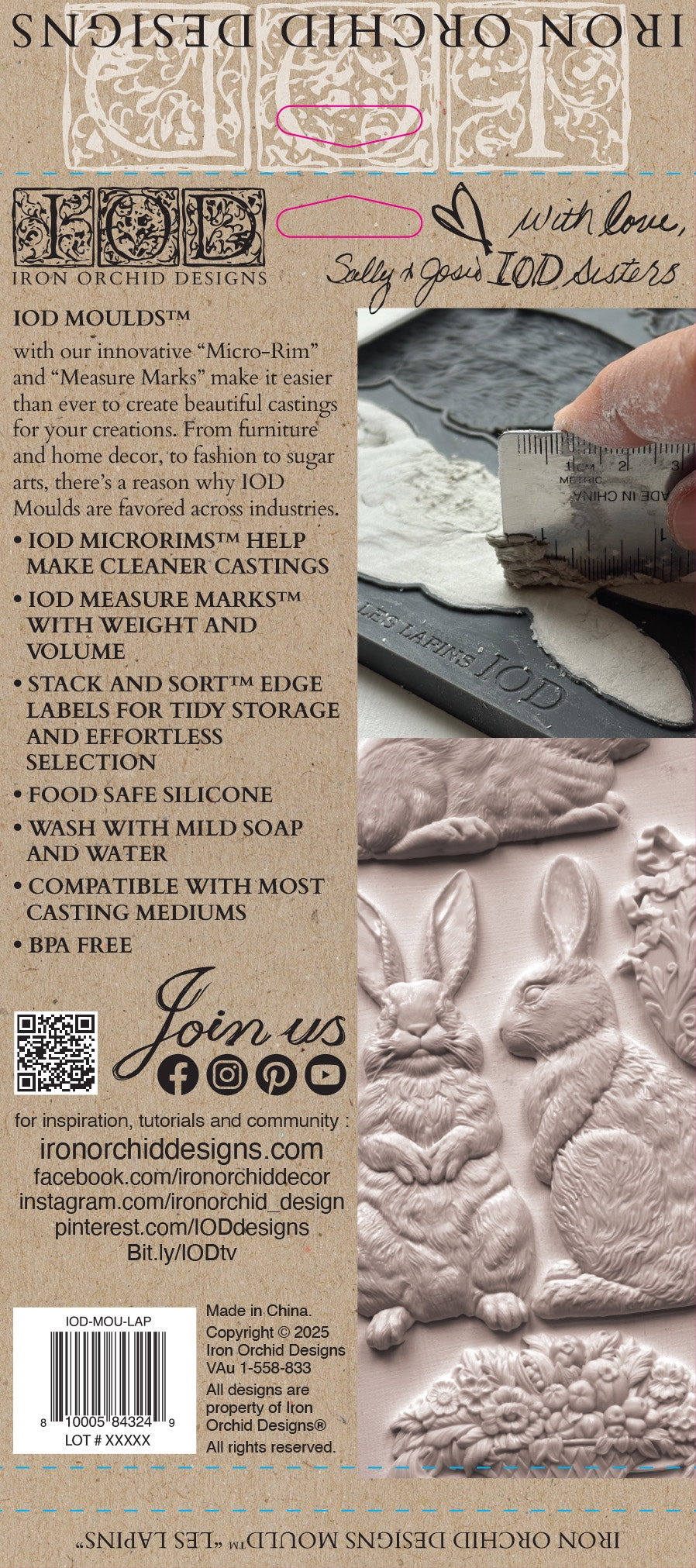 Les Lapins 6x10 IOD Mould by Iron Orchid Designs