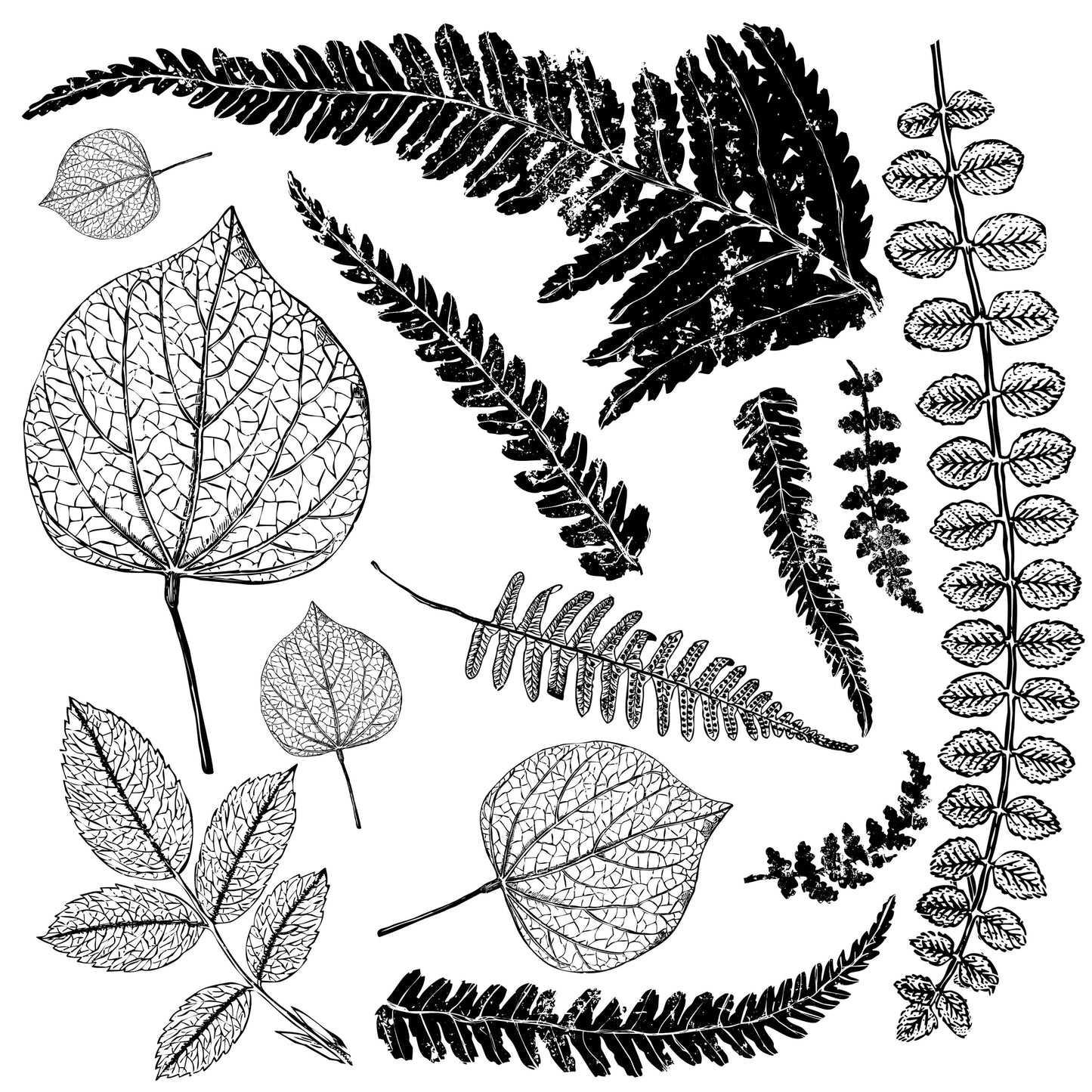 Fronds 12x12 IOD Decor Stamp by Iron Orchid Designs