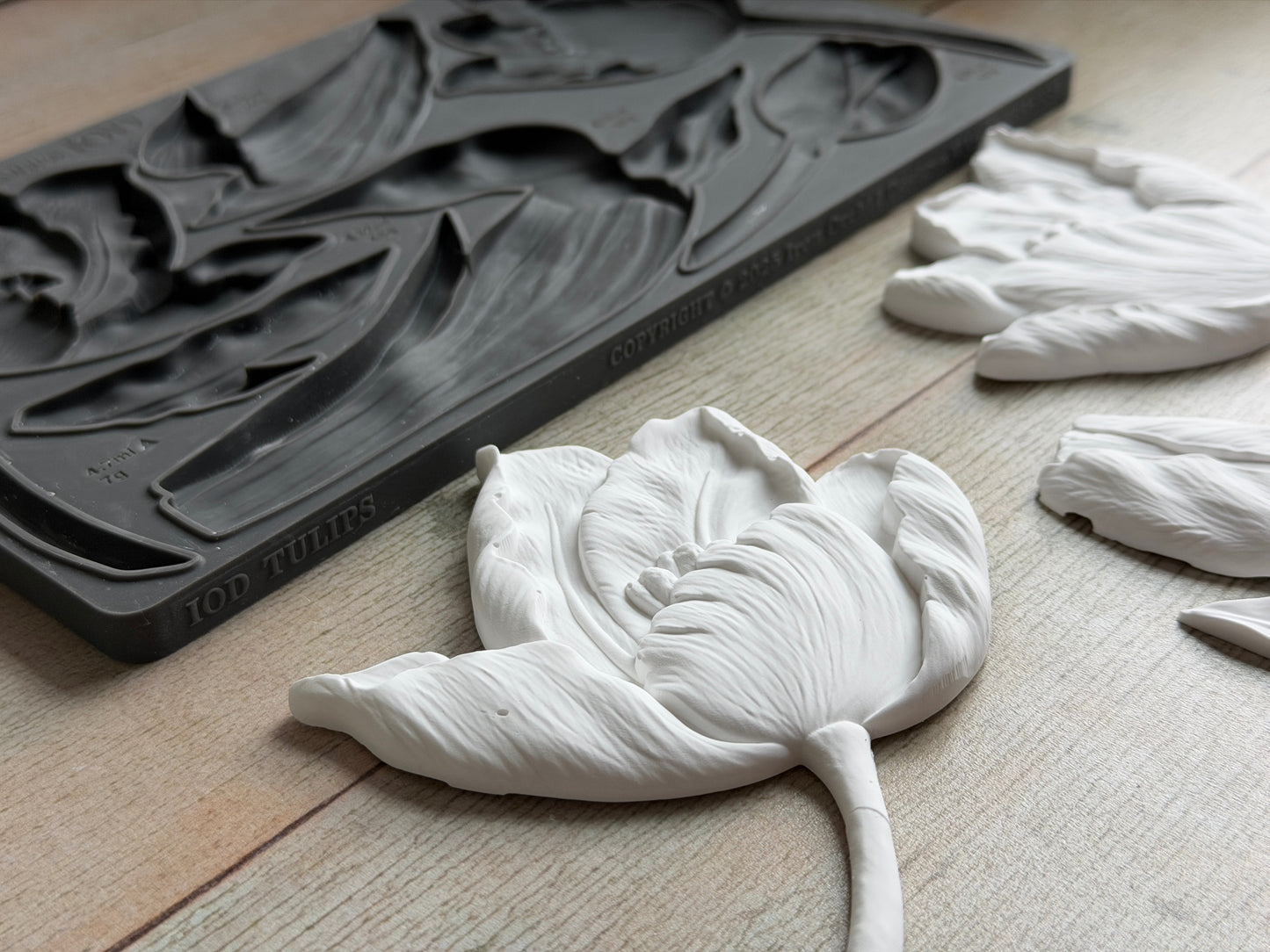Tulips 6x10 IOD Mould by Iron Orchid Designs