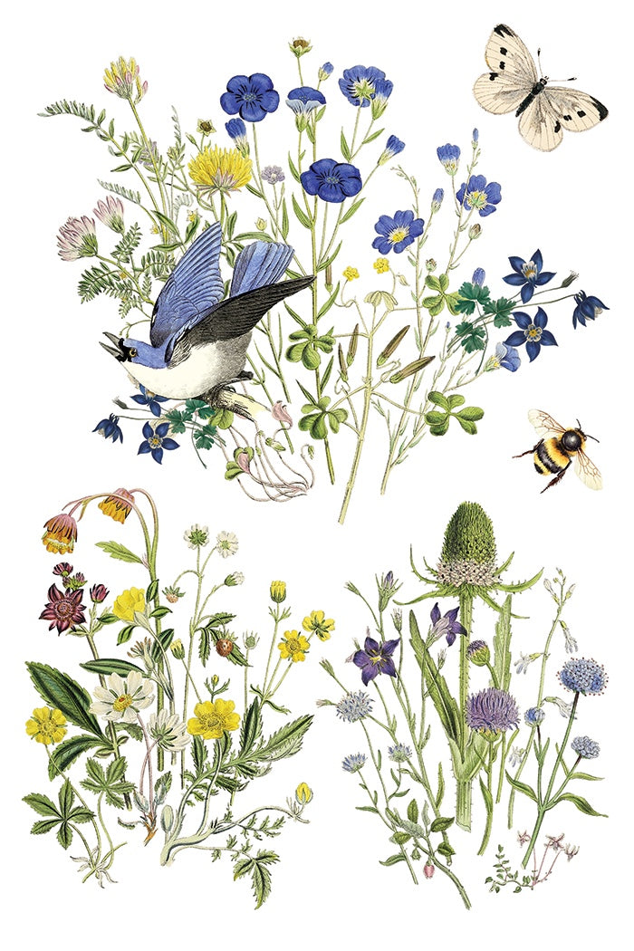 Flora Greca IOD Transfer 8x12 Pad by Iron Orchid Designs