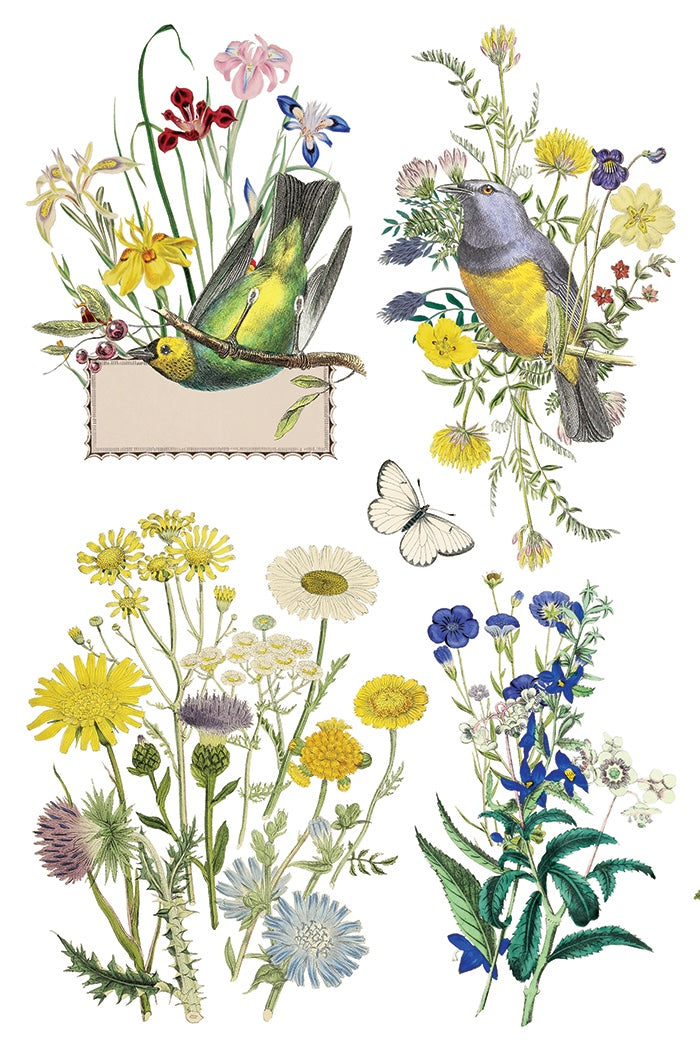 Flora Greca IOD Transfer 8x12 Pad by Iron Orchid Designs