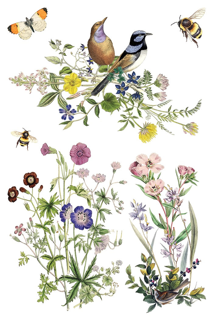 Flora Greca IOD Transfer 8x12 Pad by Iron Orchid Designs