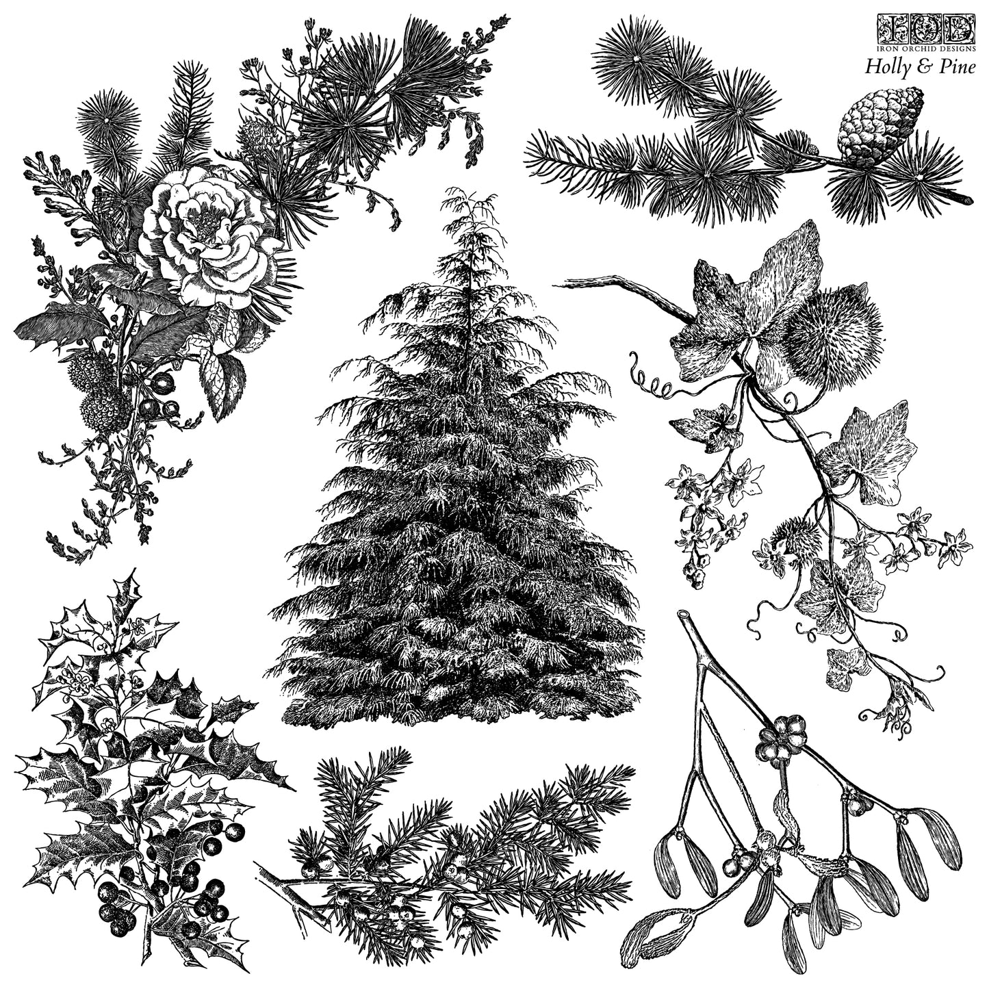 Holly & Pine 12x12 IOD Decor Stamp by Iron Orchid Designs
