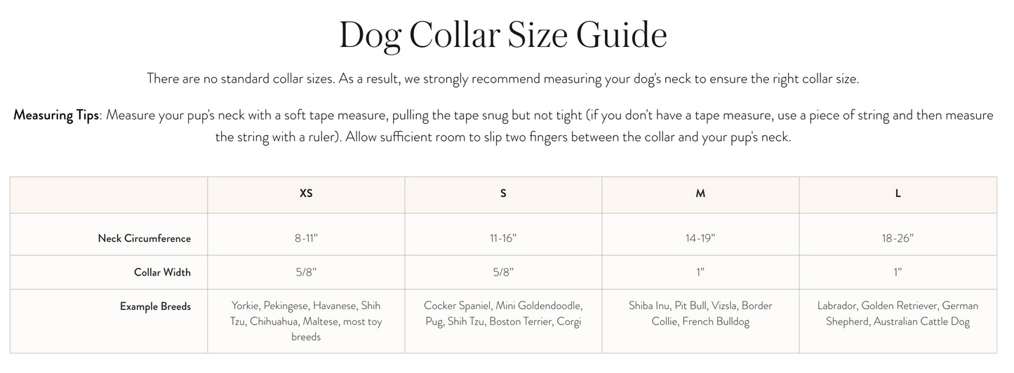 Hot Diggity Dog Collar by The Foggy Dog